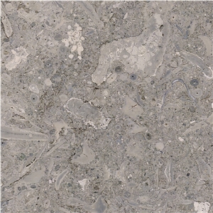 Grigio Vicenza Tile