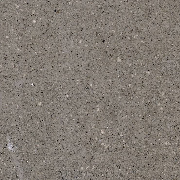 Gris de Aguilar importance=