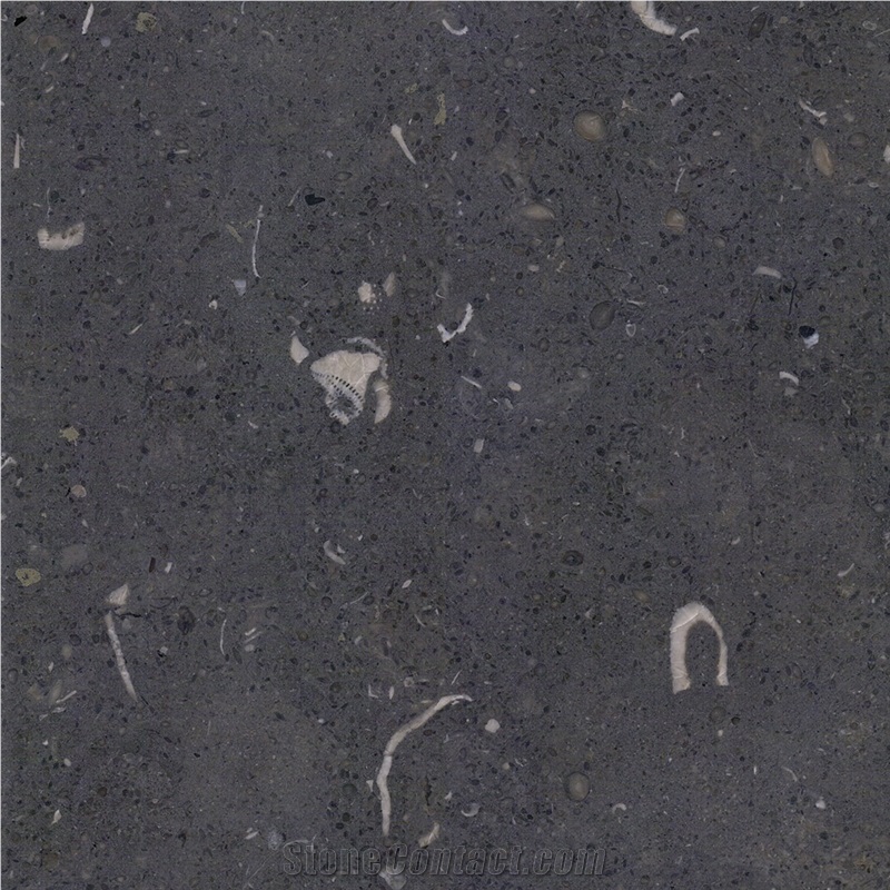 Gris de Catalan Limestone importance=