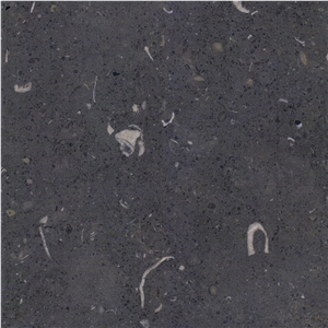 Gris de Catalan Limestone