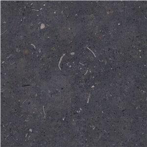 Gris de Catalan Limestone Tile