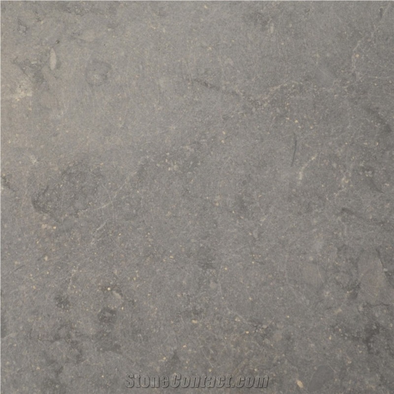 Gris de Montreal Tile