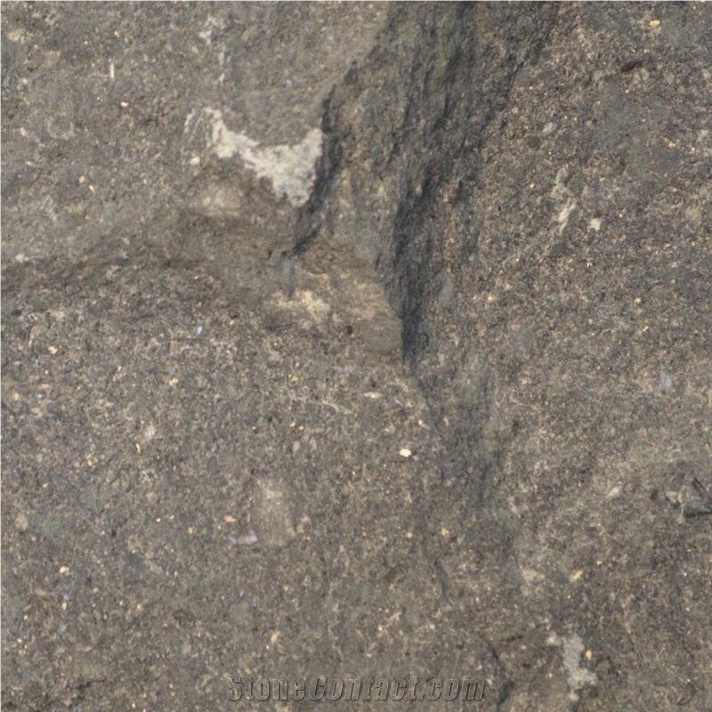 Gris de Montreal Tile