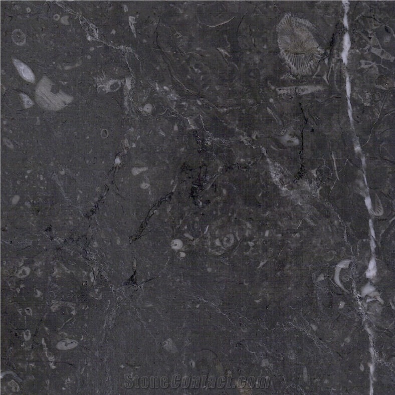 Gris du Maroc Tile