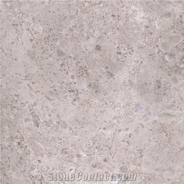 Gris Montana importance=