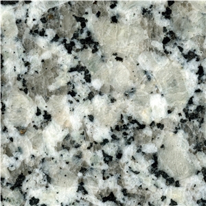 Gris Perla Granite Tile