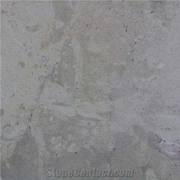 Gris Thala Limestone Tile