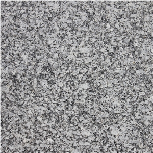 Gris Tragal Granite