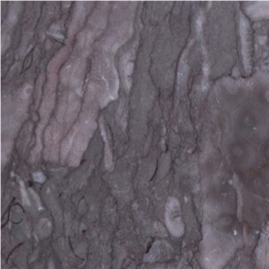 Gris Violet Marble