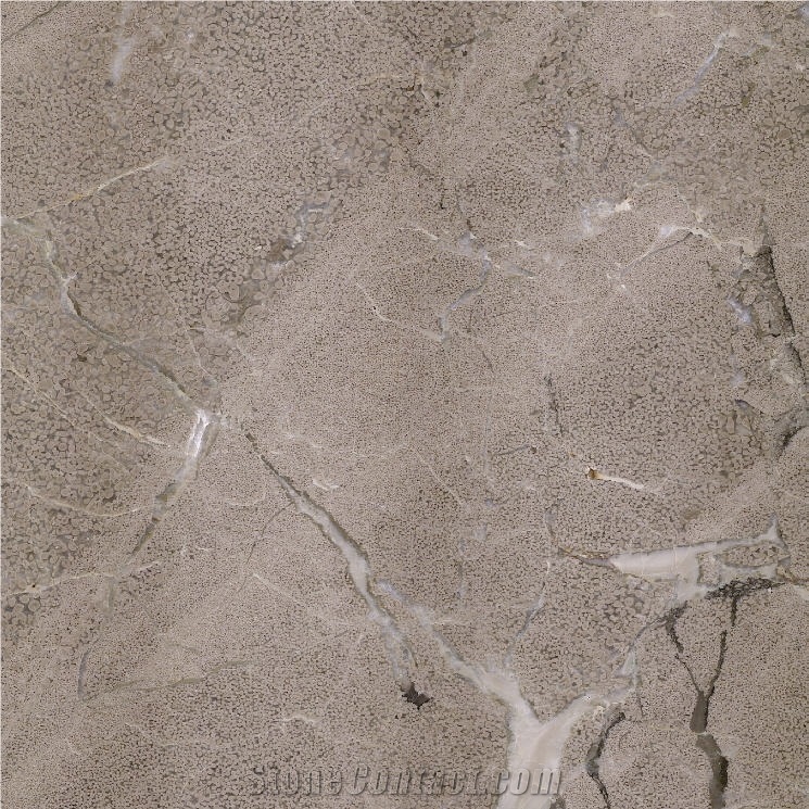 Gris Zarci Marble importance=