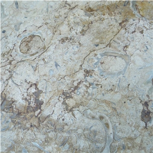 Hadspen Stone