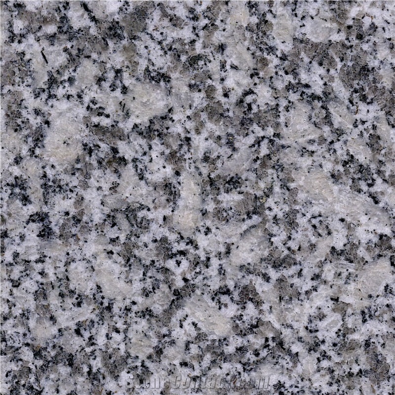 Haicang White Granite Tile