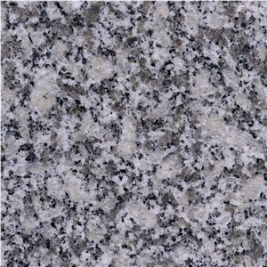 Haicang White Granite Tile
