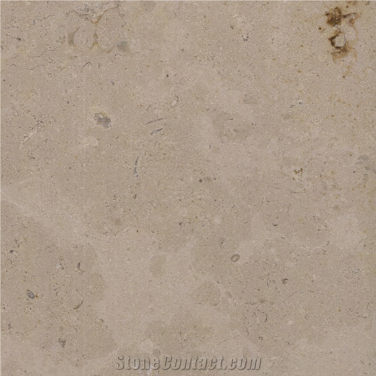 Hauteville C Limestone importance=