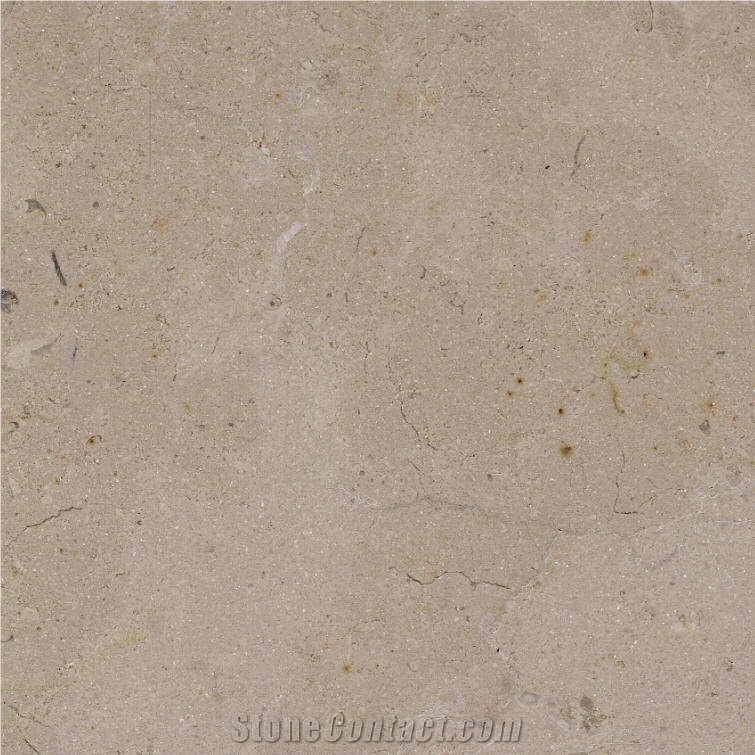 Hauteville C Limestone Tile