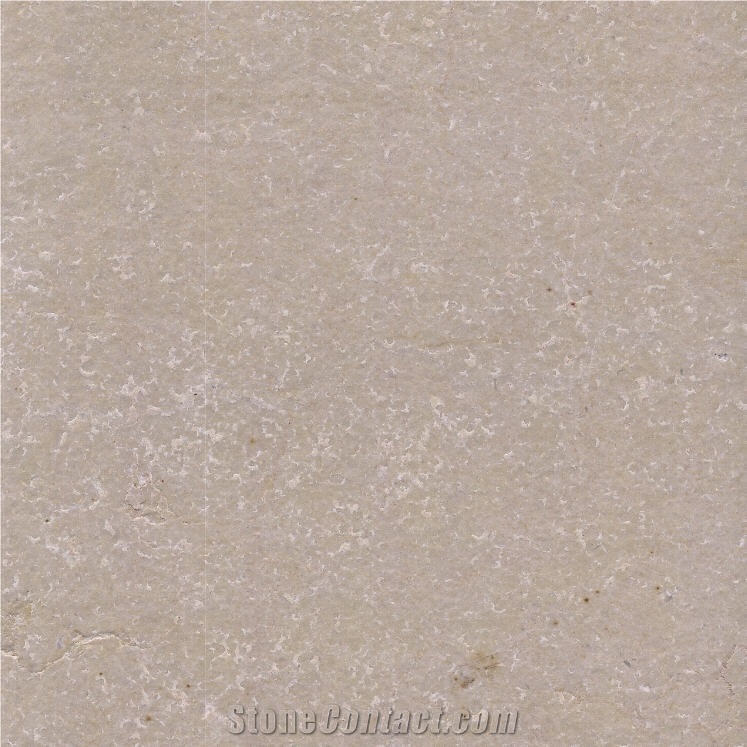 Hauteville D Limestone importance=
