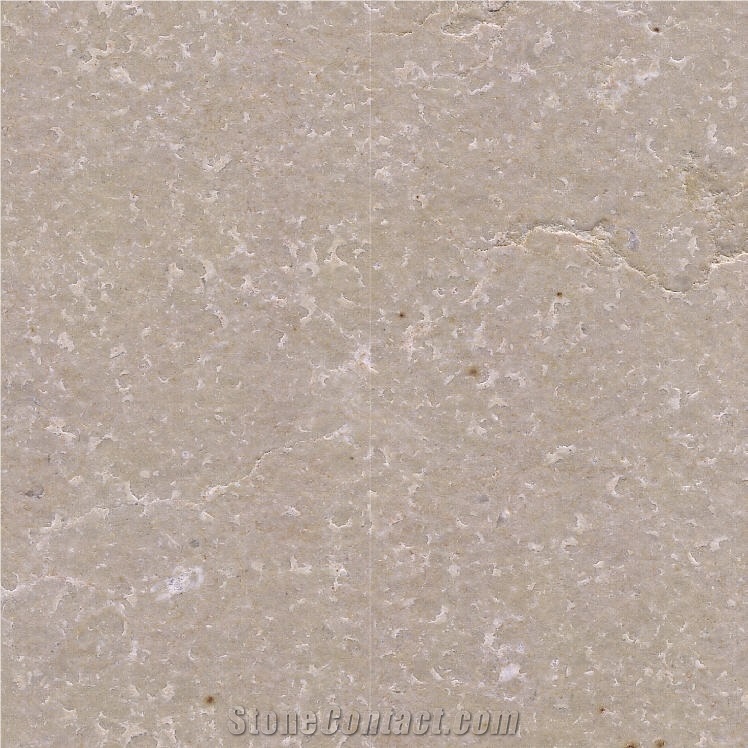 Hauteville D Limestone Tile