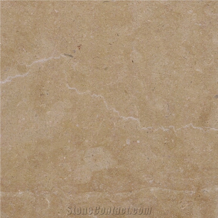 Hauteville E Limestone importance=