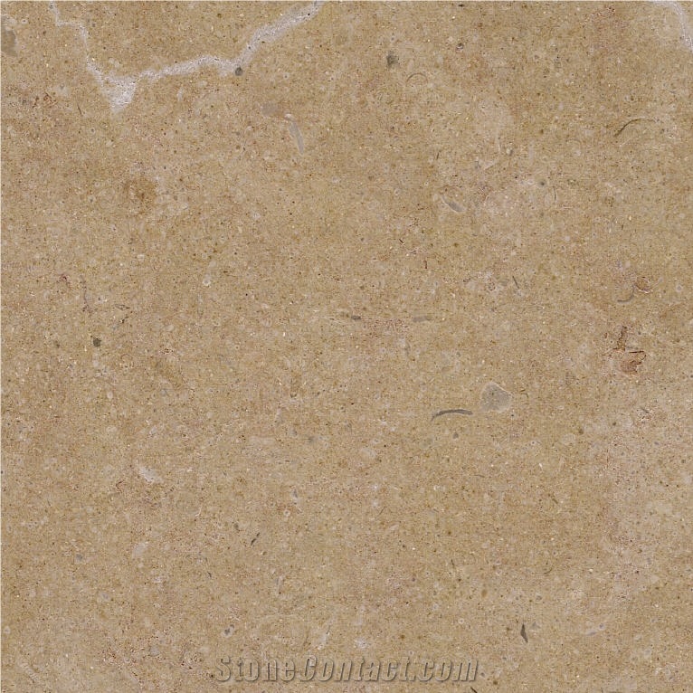 Hauteville E Limestone Tile