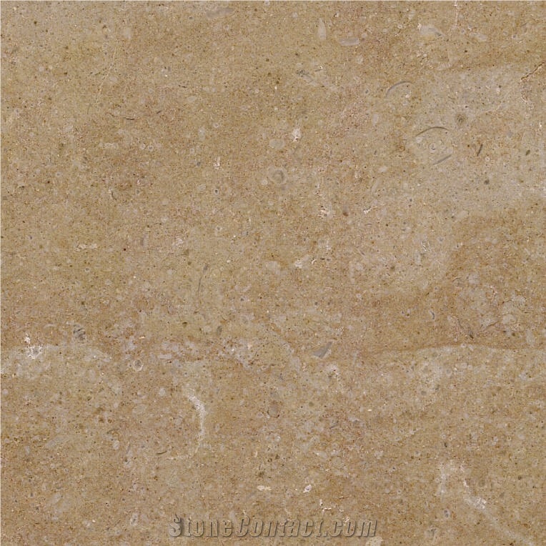 Hauteville Limestone Tile