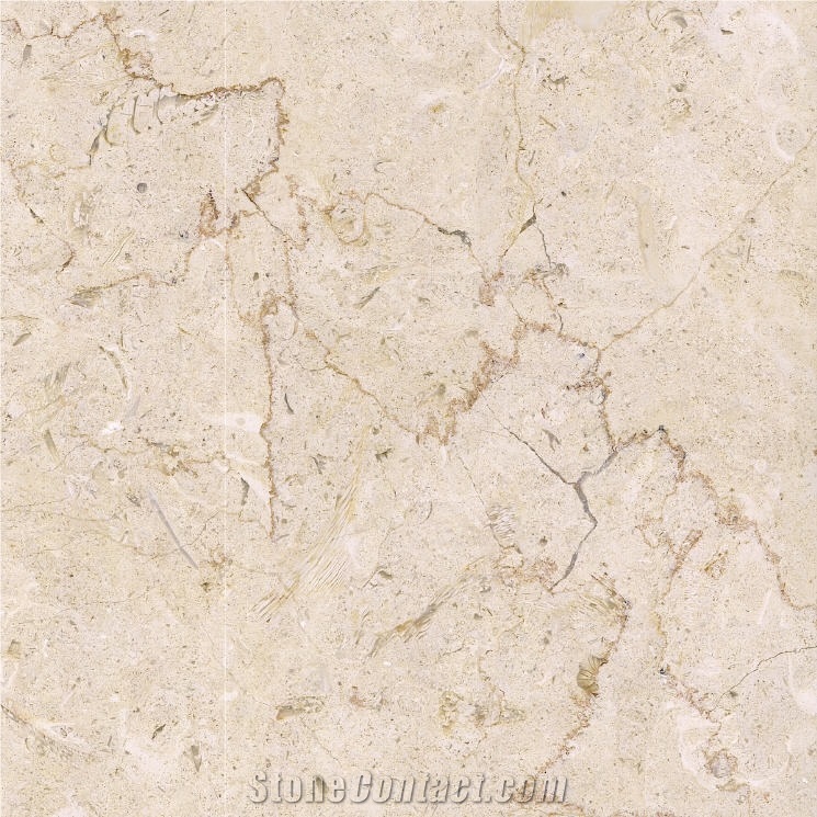 Hebron Cream Limestone importance=