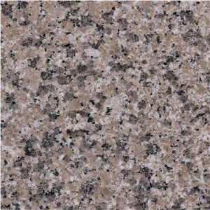 Henan Sakura Red Granite Tile