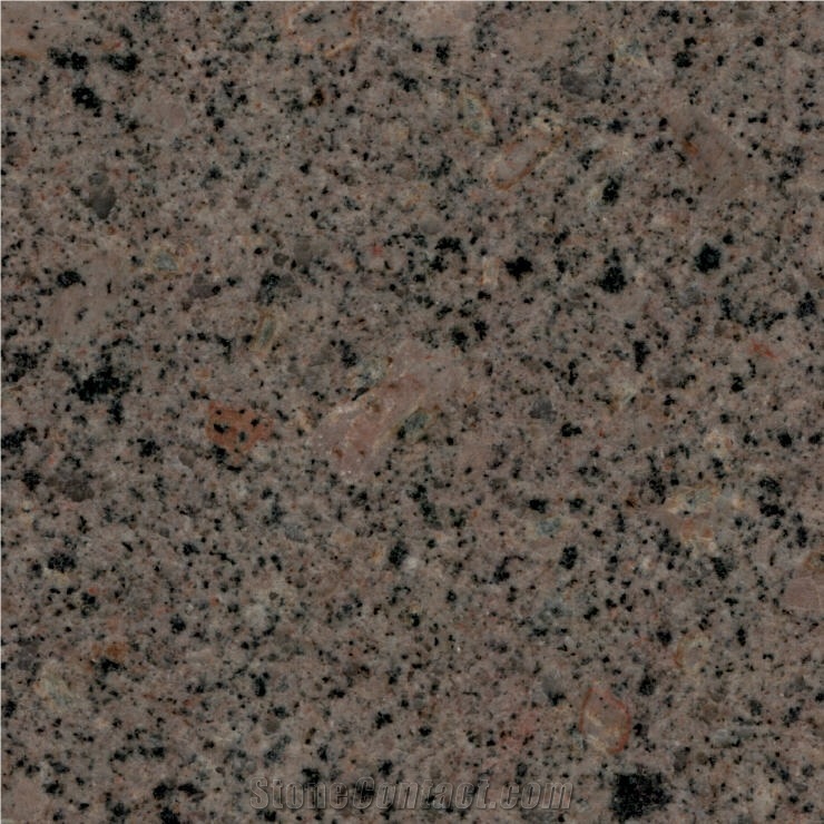 Honey Brown Granite importance=