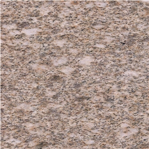 Hubei Gold Granite Tile