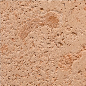 Indo Pink Coral Stone
