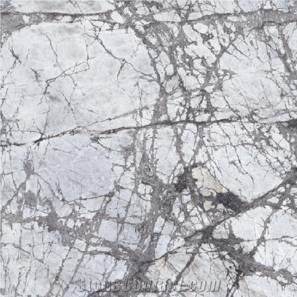 Invisible Blue Marble Tile