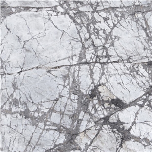 Invisible Blue Marble Tile