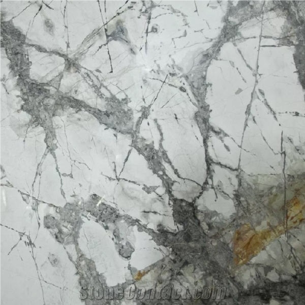 Invisible Grey Marble importance=