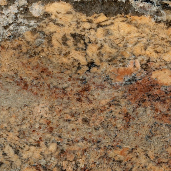 Iris Crema Bordeaux importance=