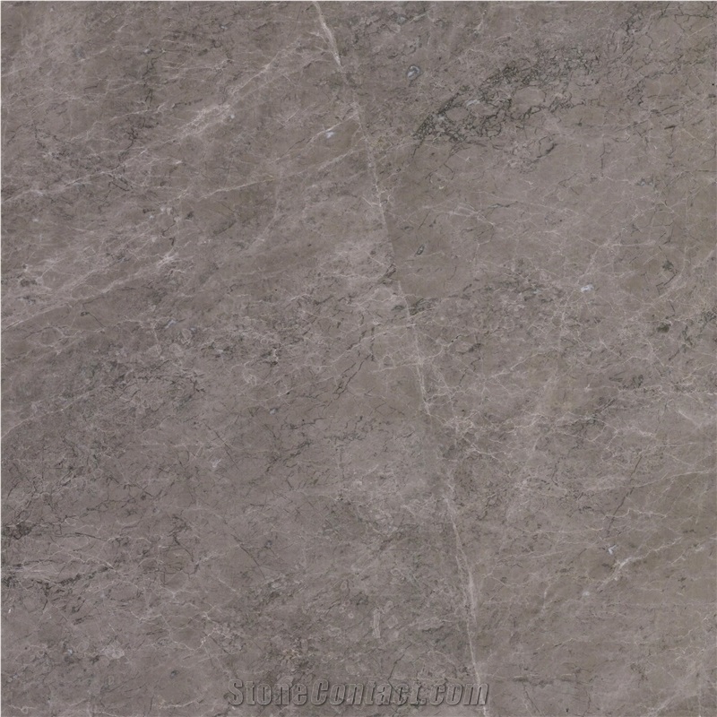 Italy Gray Marble importance=
