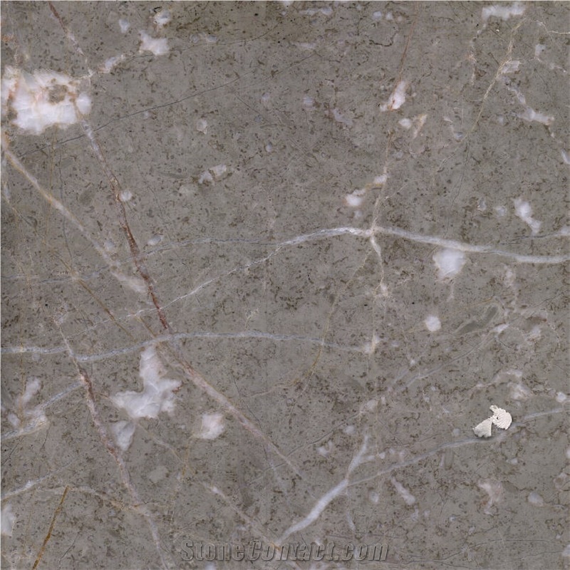 Italy Grey Marble importance=