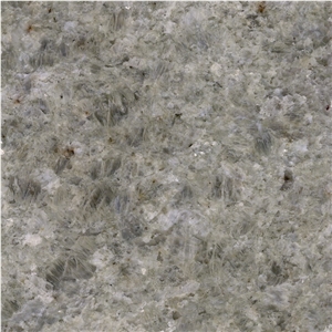 Ivory Gold Granite Tile