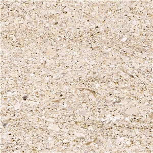 Jaffa Limestone