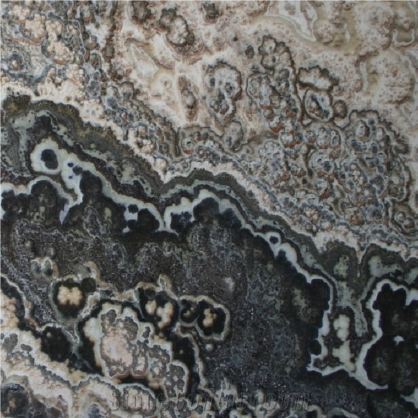 Jalisco Black Onyx importance=