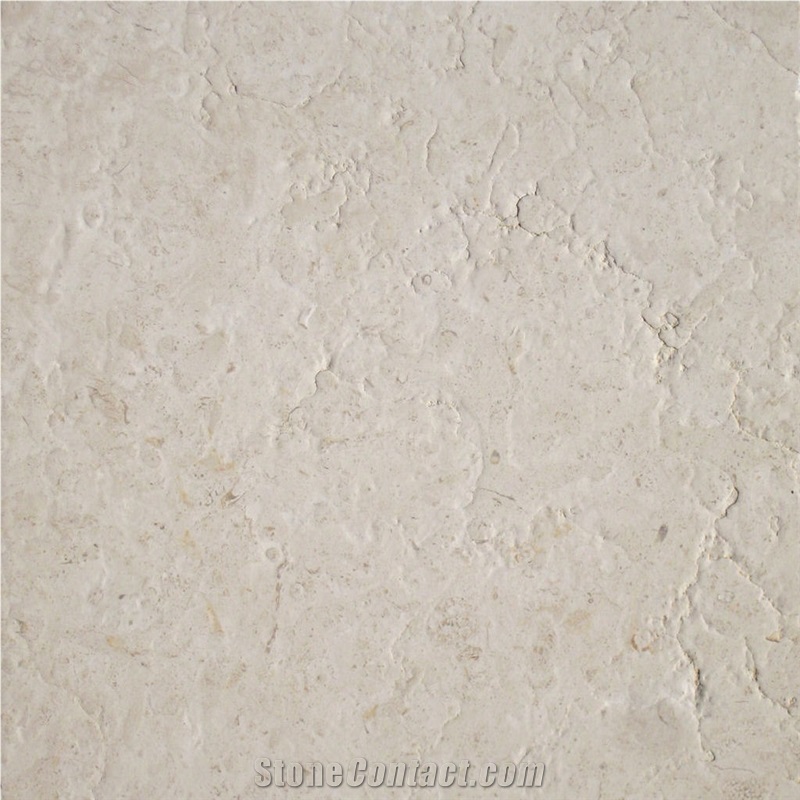 Jerusalem Bone A-11 importance=