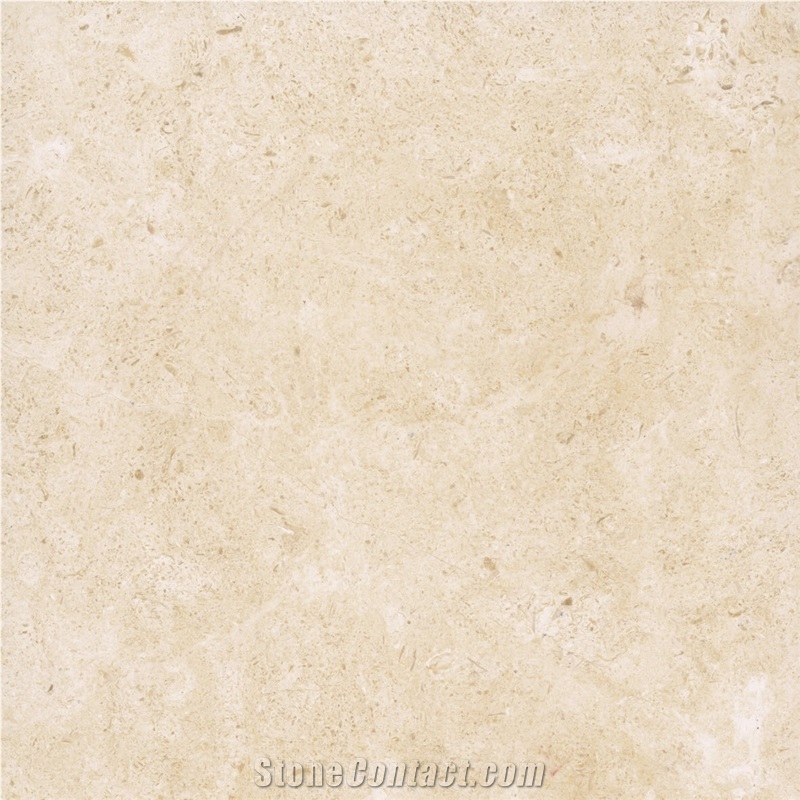 Jerusalem Bone A-16 Limestone importance=