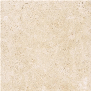 Jerusalem Bone A-16 Limestone