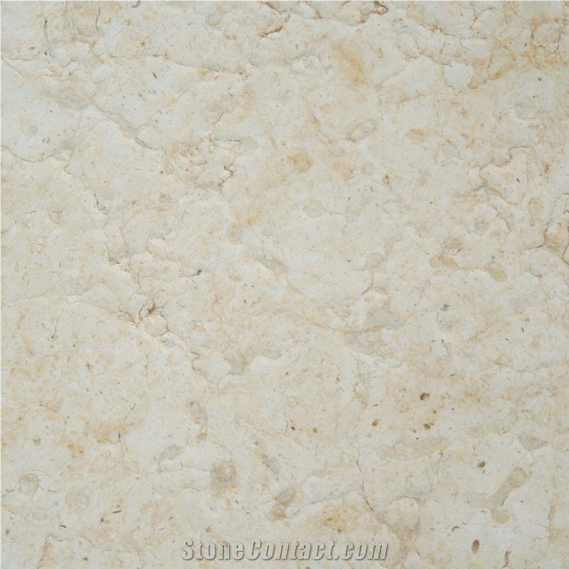Jerusalem Bone A-16 Limestone Tile