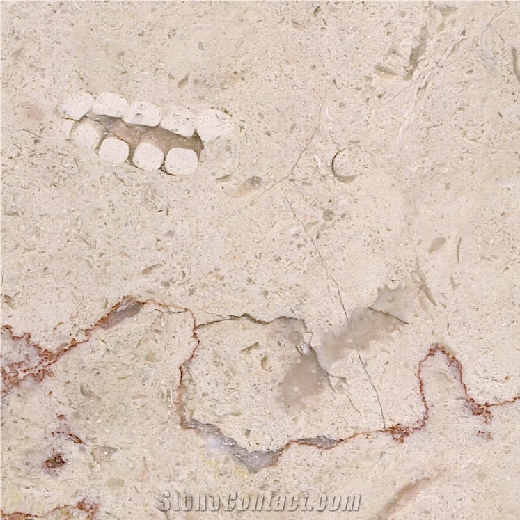 Jerusalem Cream Limestone importance=