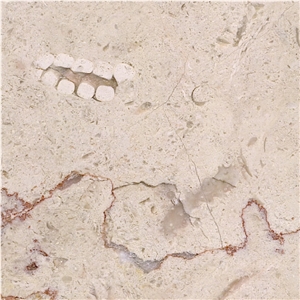 Jerusalem Cream Limestone