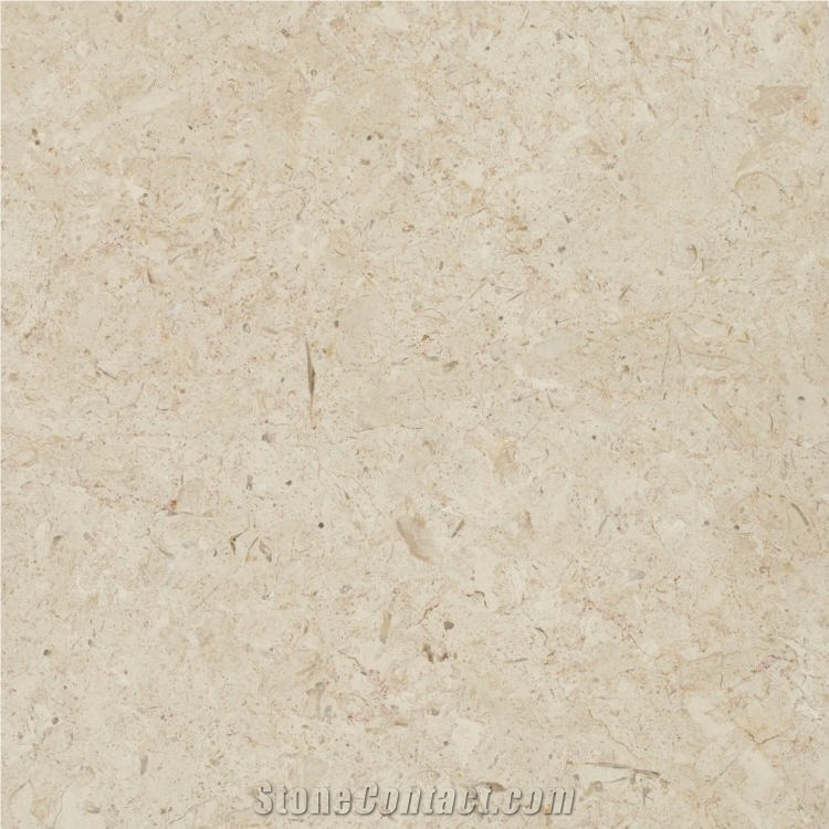 Jerusalem Desert Limestone importance=