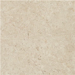 Jerusalem Desert Limestone