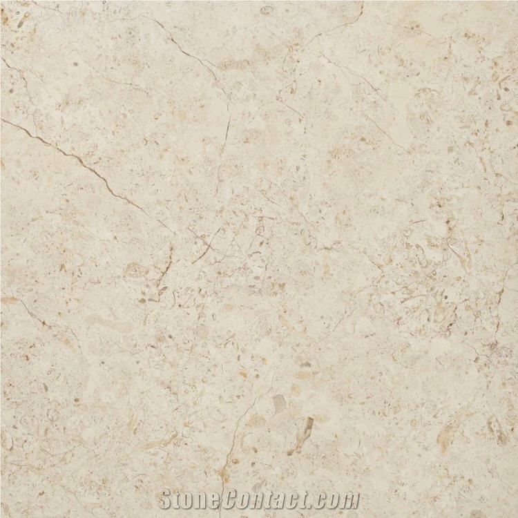 Jerusalem Desert Limestone Tile