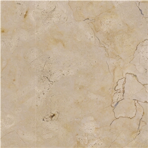 Jerusalem Gold A55 Shell