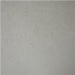 Grey Borghamn Limestone