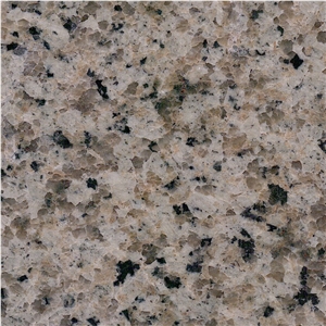 Jiangxi Green Granite Tile